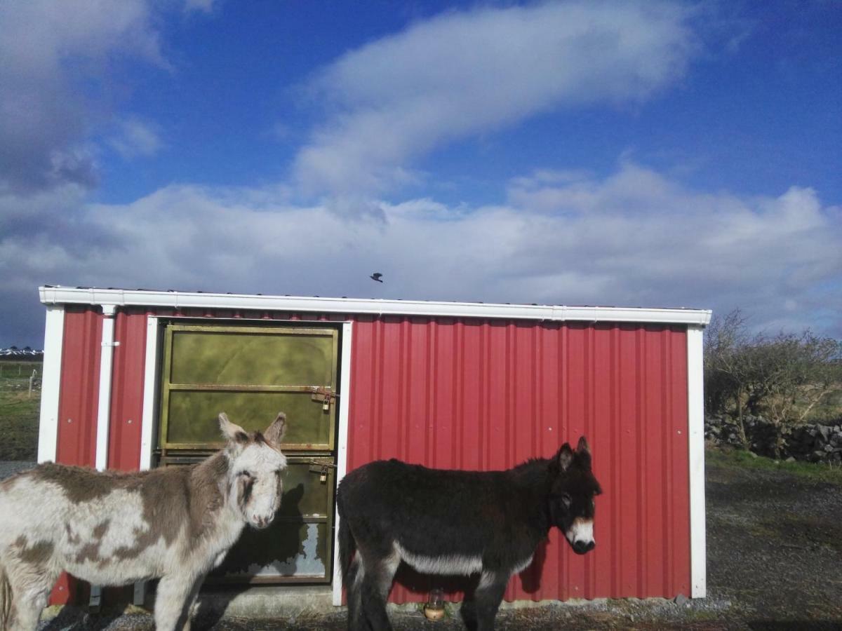 The Wild Atlantic Way Barn Villa Oranmore Exteriör bild